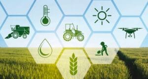 photo_2024-08-21_12-08-01