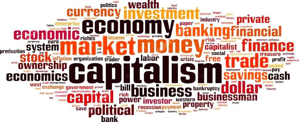 photo_2024-08-23_11-26-14 Discuss The Meaning, Chareceristics & Types of Capitalism