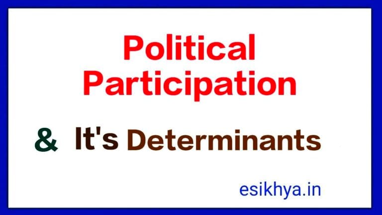 Discuss The Determinants of Political Participations