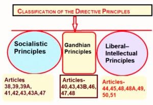 photo_2024-09-01_16-41-54
