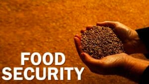 photo_2024-10-13_21-22-07