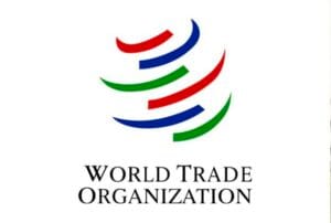 photo_2024-10-14_11-46-25