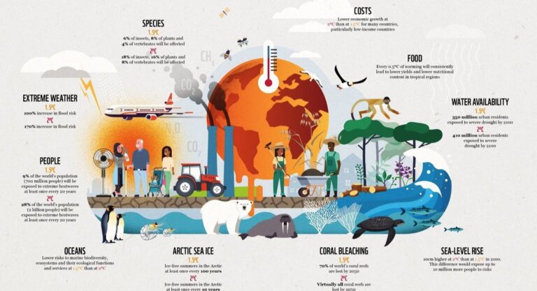 Environment : Meaning, Component’s, Chareteristic’s & Type’s