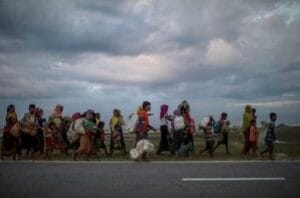 photo_2024-10-30_12-11-18